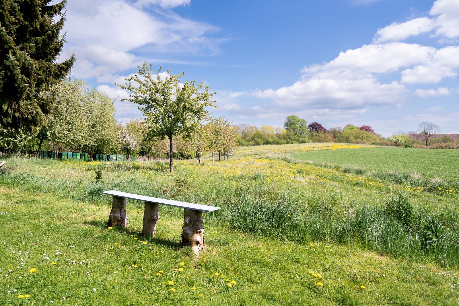 A bench made of tree trunks stands in the grass. Trees and fields are visible under a blue sky.