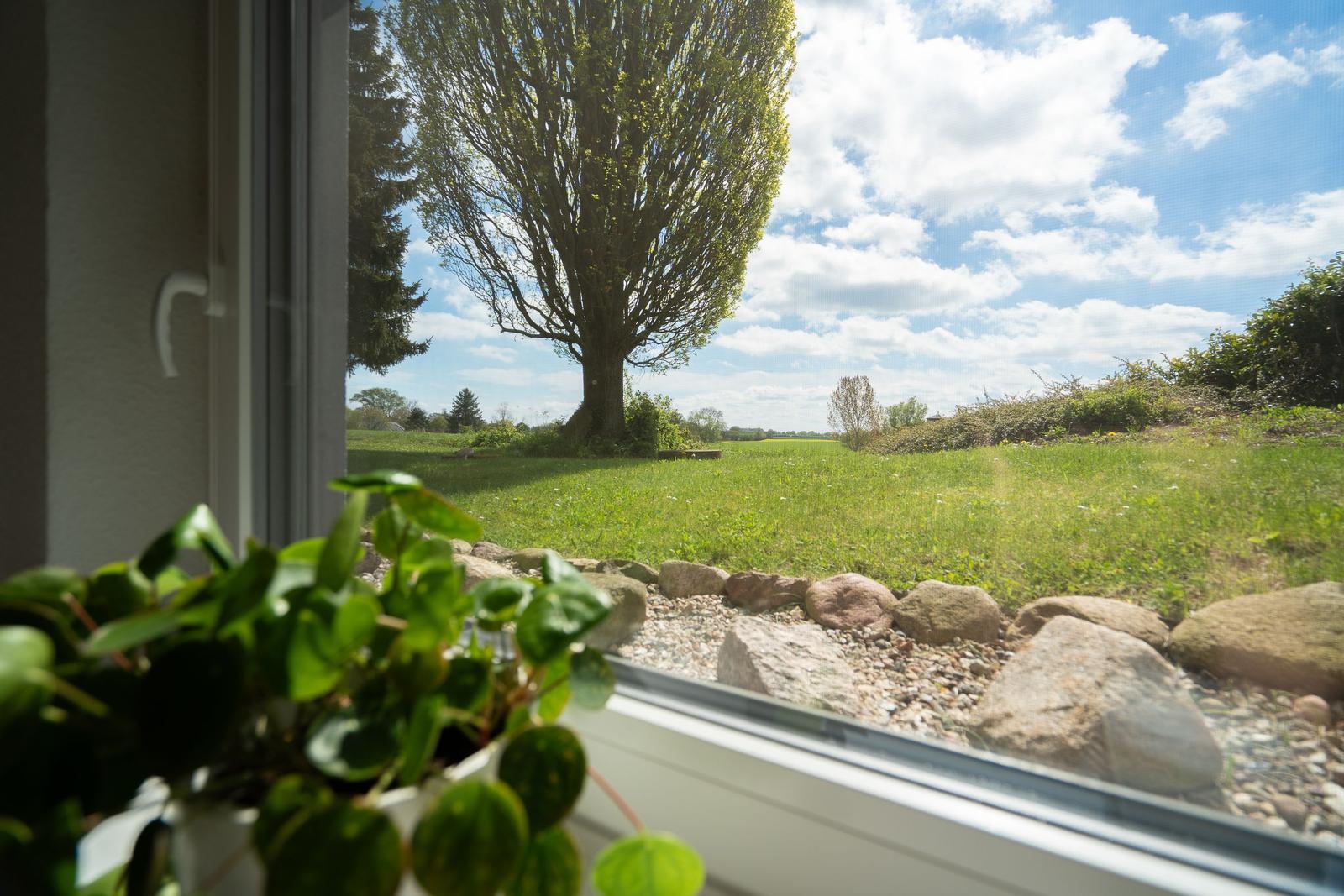 Through the window, a green garden with a tree and a stone fence is visible.