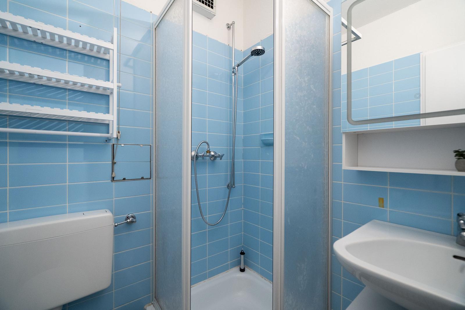 Bathroom with shower, sink, and toilet. Walls are covered with blue tiles.