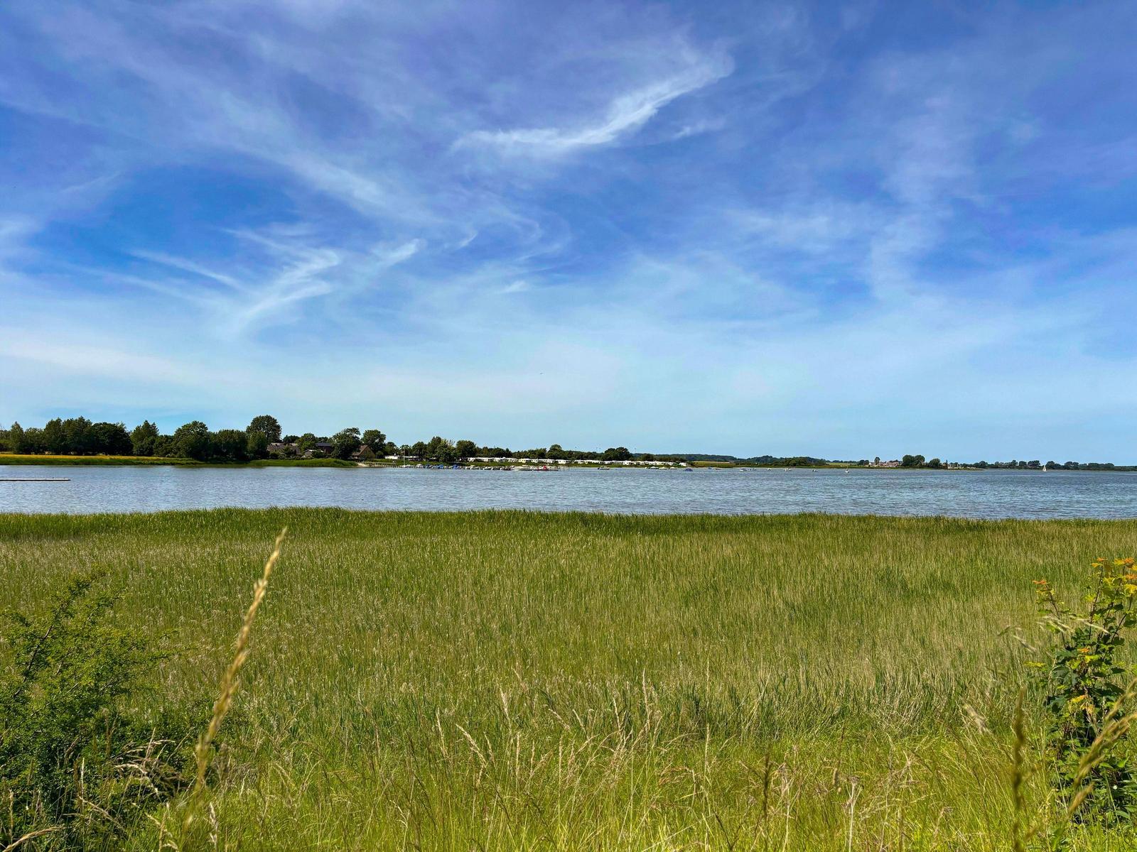 Grünes Feld am Ufer eines Sees unter blauem Himmel mit Wolken.