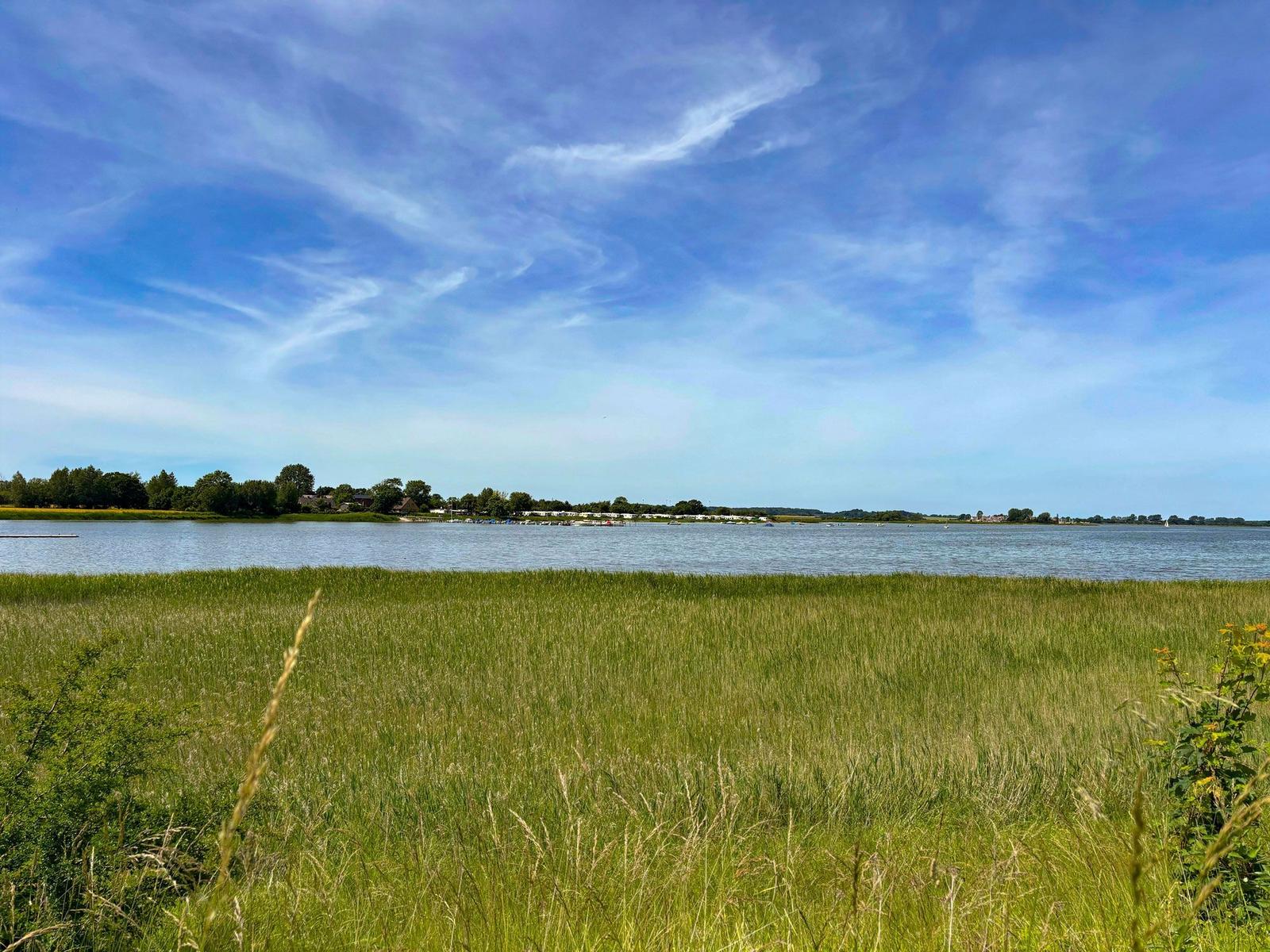 Grünes Gras am Ufer eines Sees unter blauem Himmel mit Wolken.