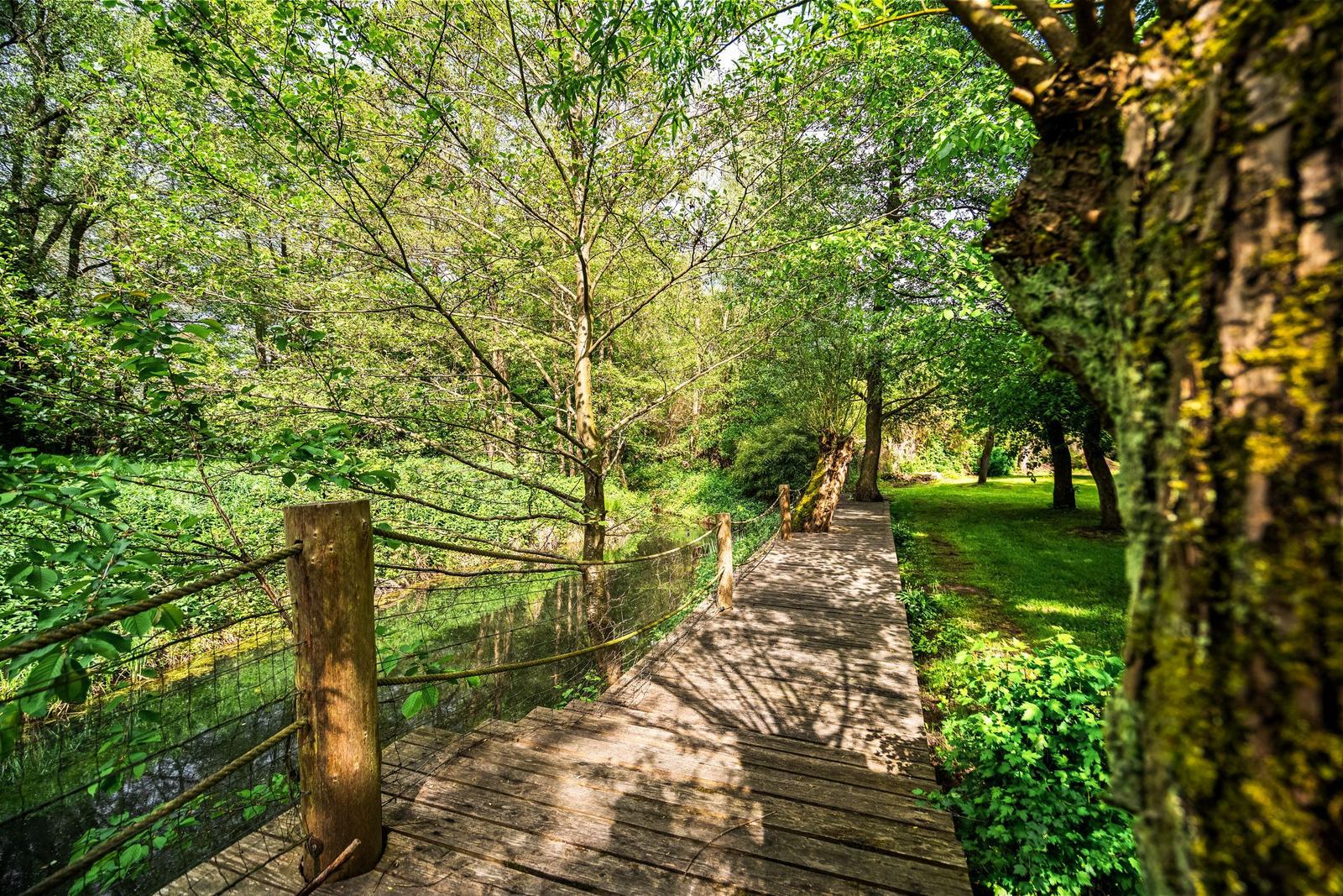 Holzbrücke durch einen grünen Wald mit Wasser und Bäumen.