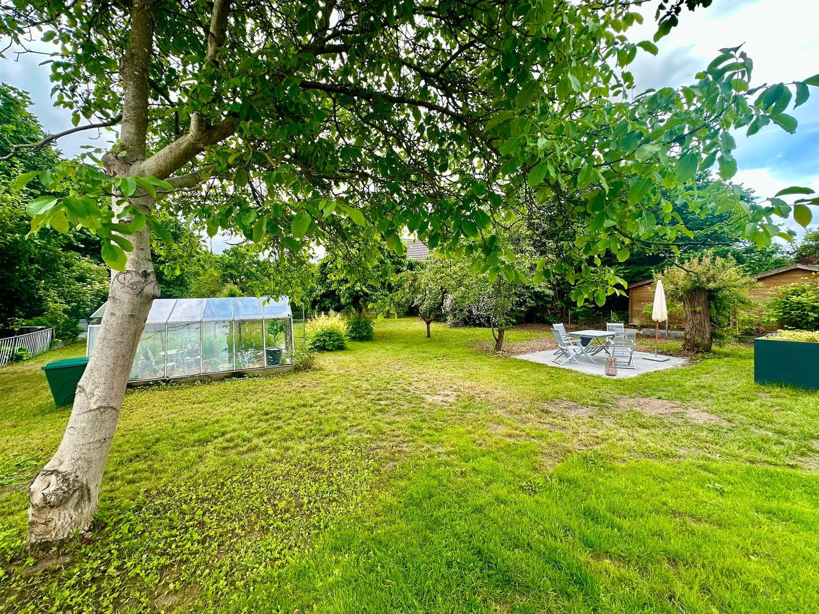 Grüner Garten mit Terrasse, Tisch, Stühlen und Gewächshaus unter Bäumen.
