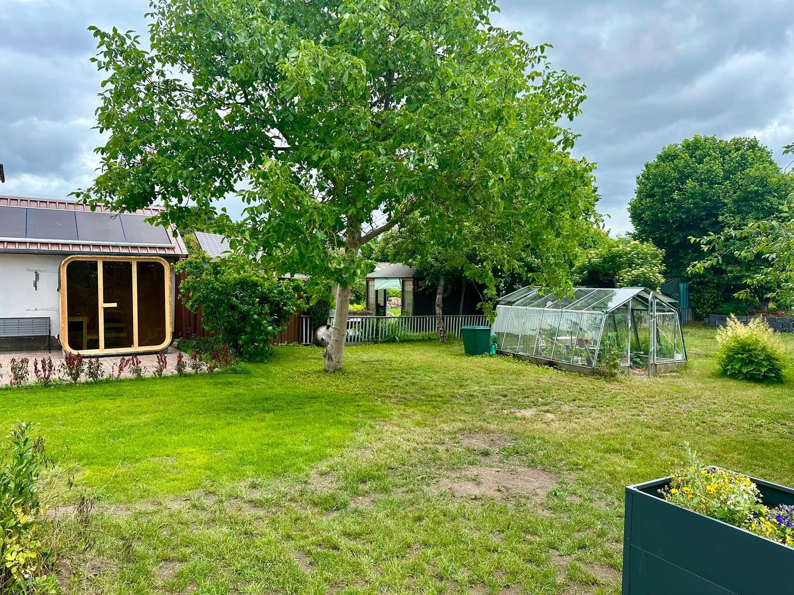 Hinterhof mit Grünfläche, Baum, Gewächshaus und Solaranlage auf dem Dach.