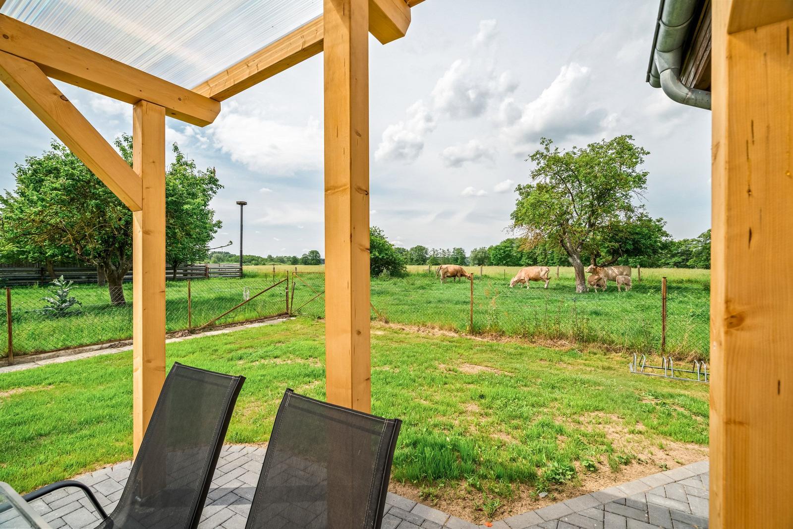 Terrasse mit Liegestühlen und Blick auf grünes Feld mit Kühen.