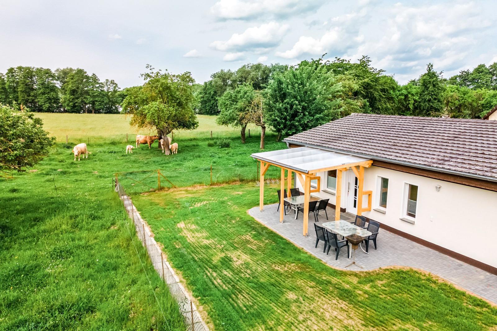 Haus mit Terrasse und Garten, Kühe grasen im Hintergrund.