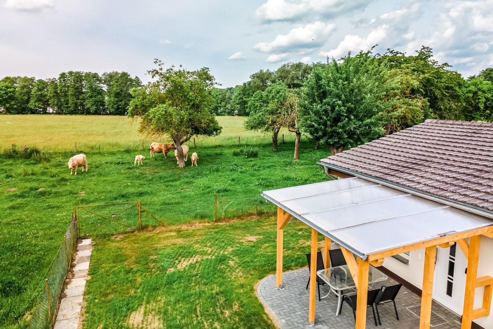 Terrasse mit Sitzgelegenheit und Blick auf grünes Feld mit Kühen.