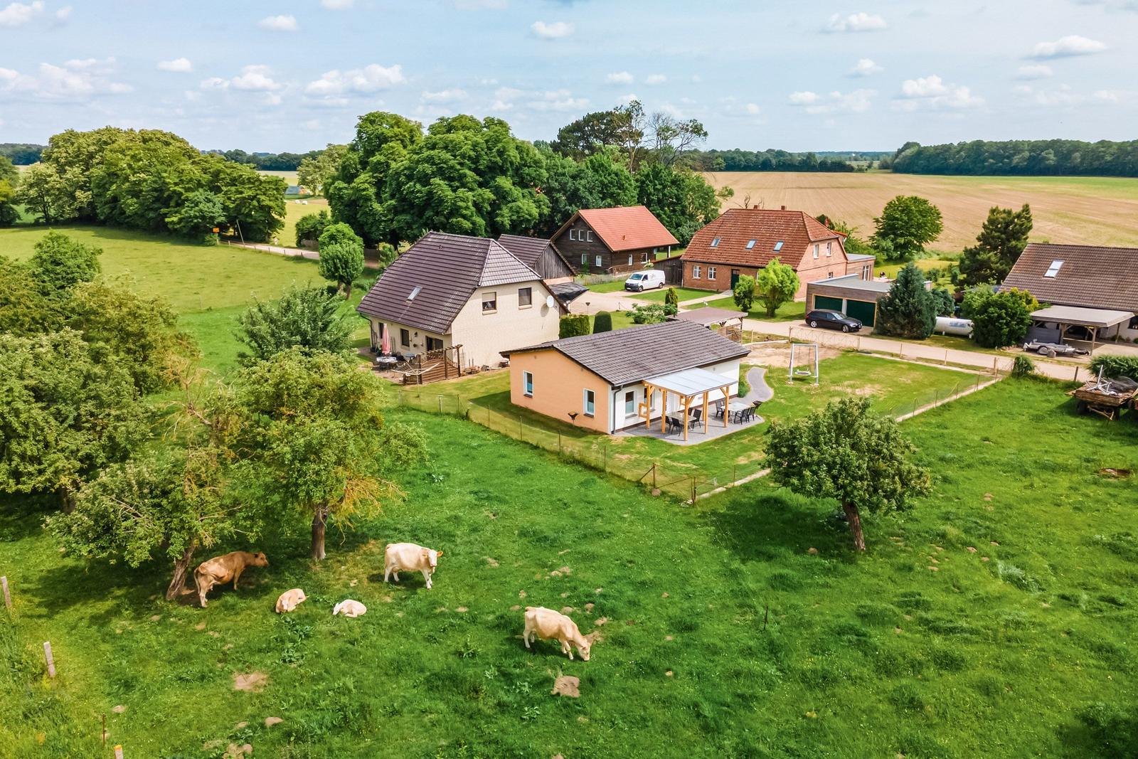 Ländliches Ferienhaus mit Garten, Grillplatz und Blick auf Weide mit Rindern.