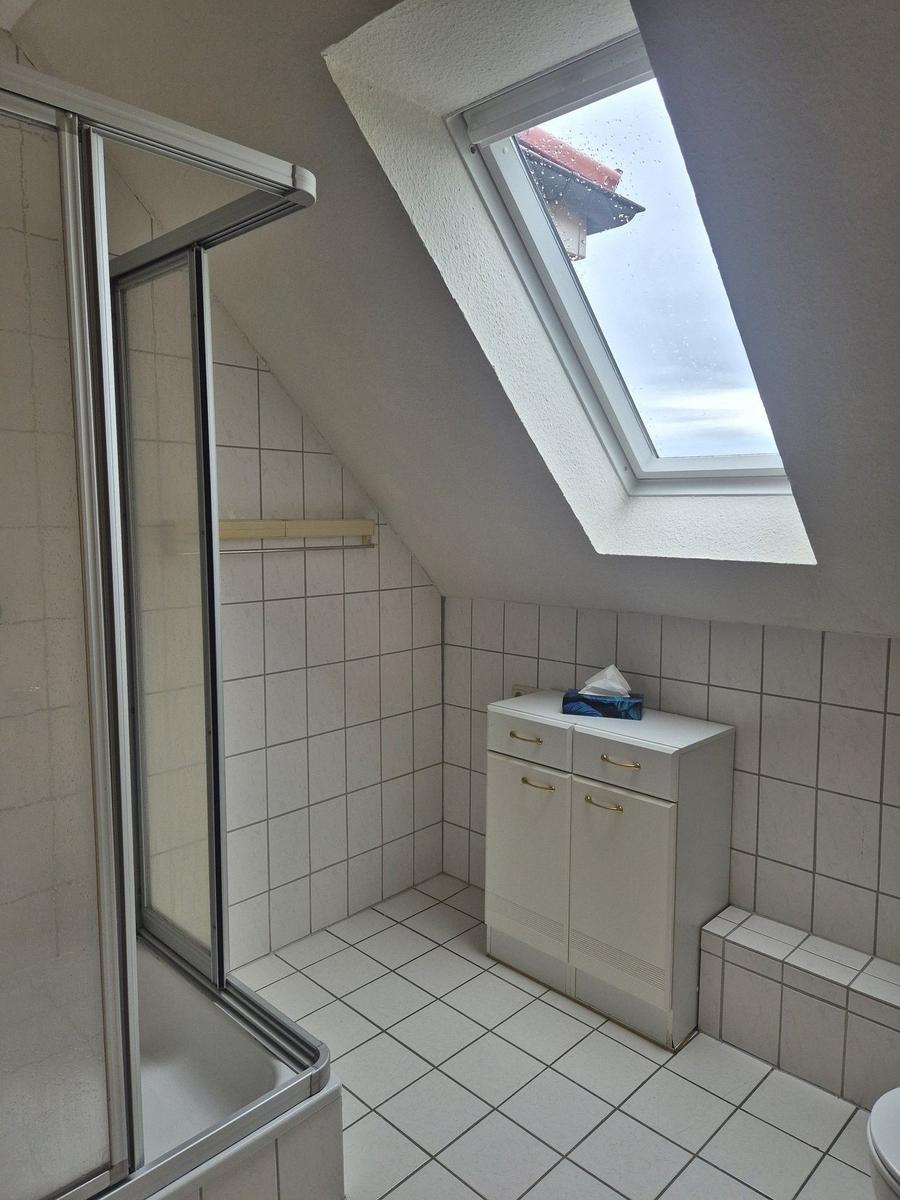 Badezimmer mit Dusche, Schrank und Dachfenster.