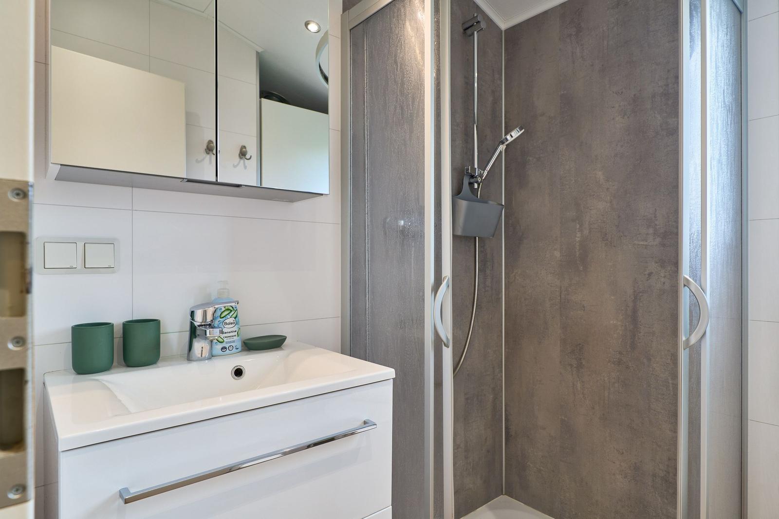 Badezimmer mit Dusche, Waschbecken und Spiegelschrank.