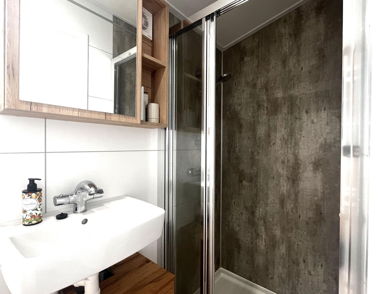 Badezimmer mit Dusche, Waschbecken und Spiegelschrank.