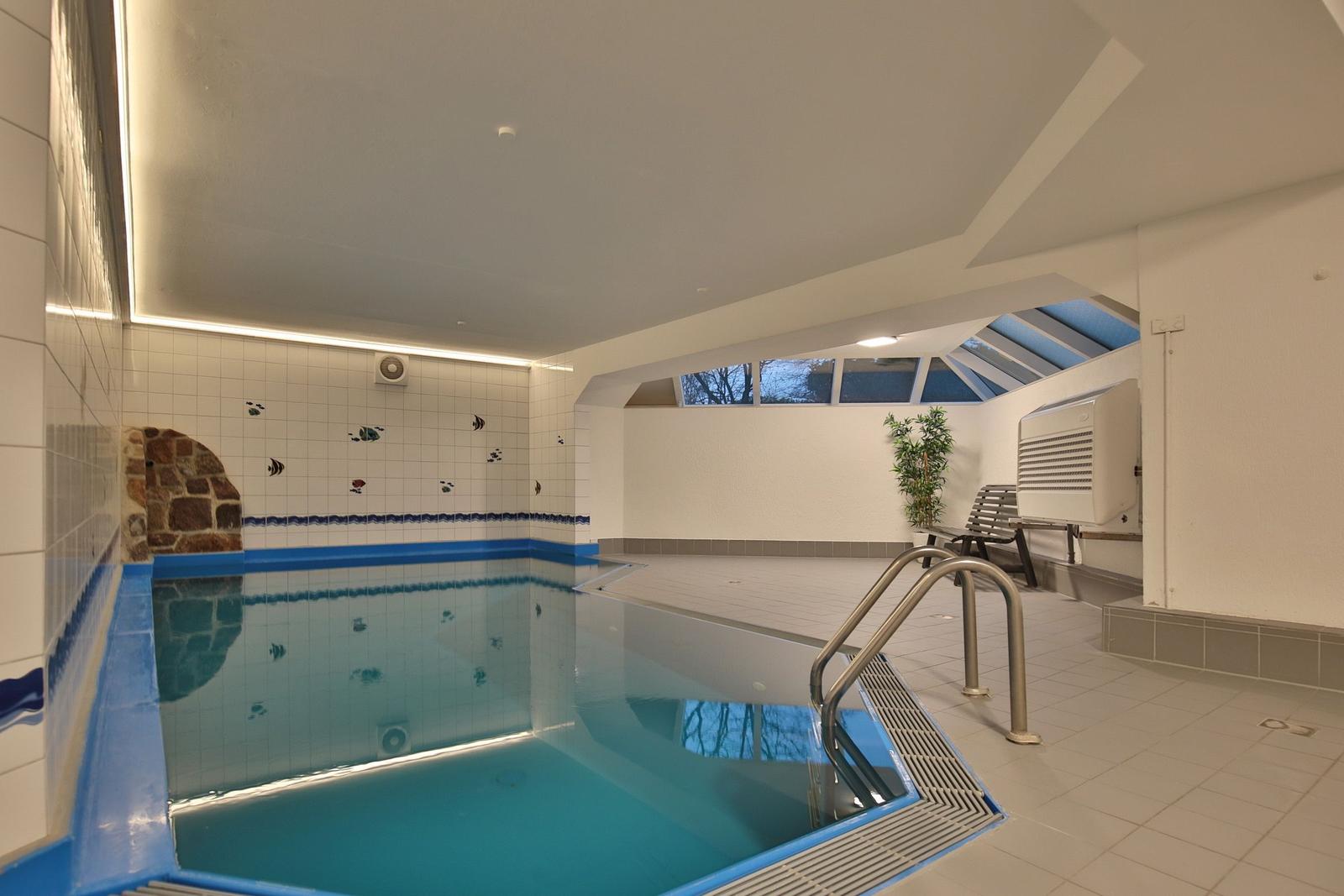 Innere Schwimmhalle mit Pool, Holzbank und Pflanze. Deckenfenster und Bodenfliesen.