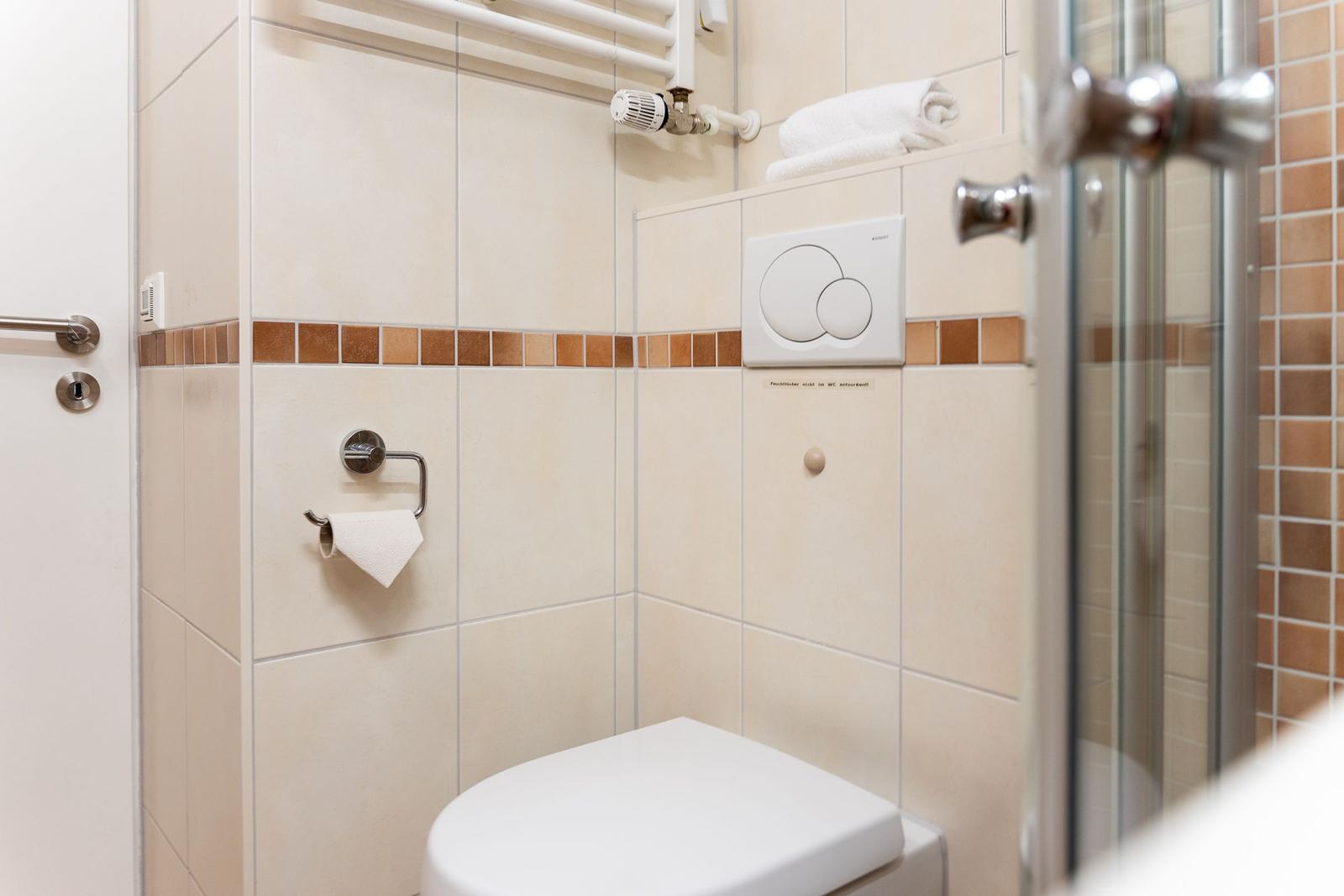 Bad mit Toilette, Dusche und Handtuchhalter