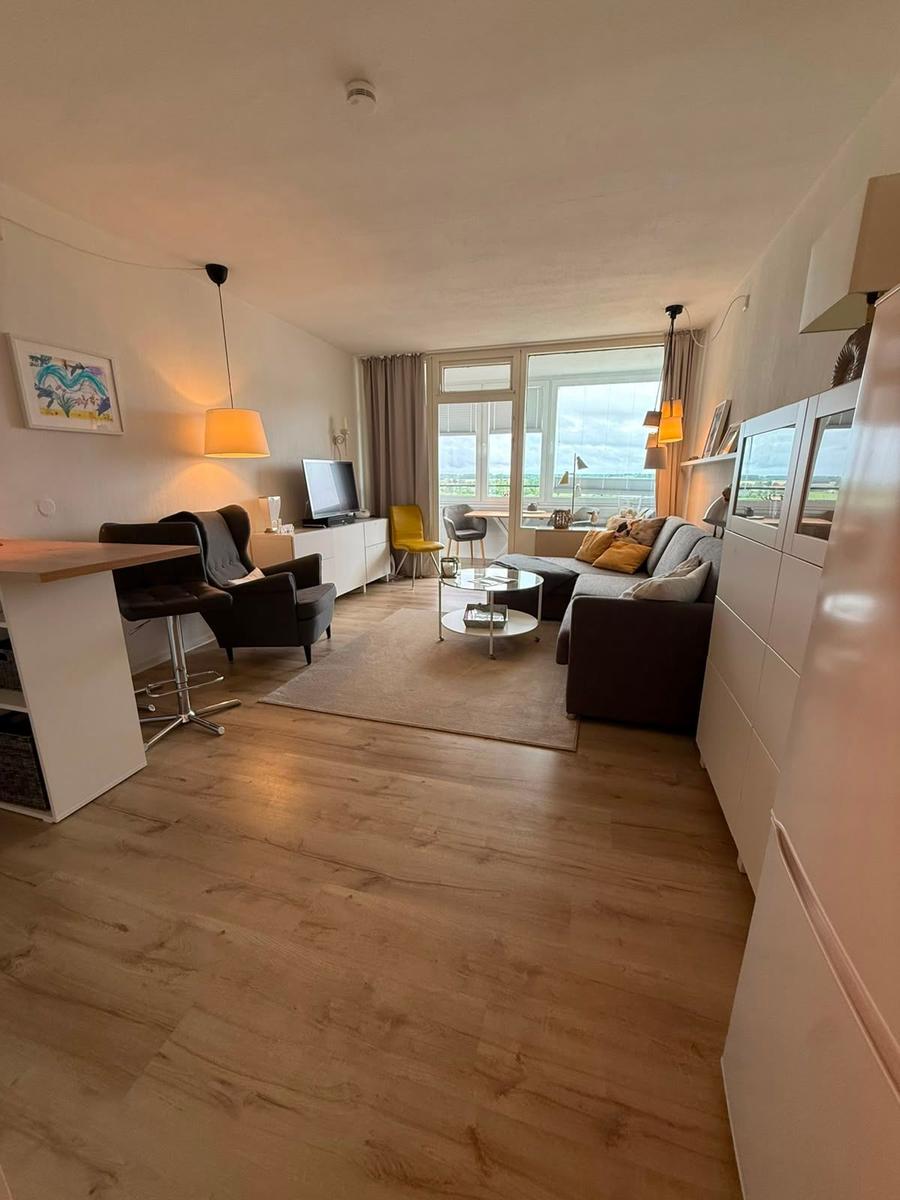 Wohnung mit Wohnbereich, Sofa, TV und großem Fenster. Holzfußboden und moderne Einrichtung.