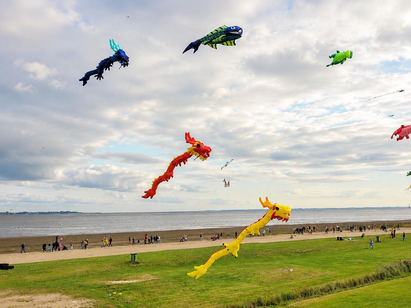 Große Drachen- und Fischkästen fliegen über Strand und Grünfläche.