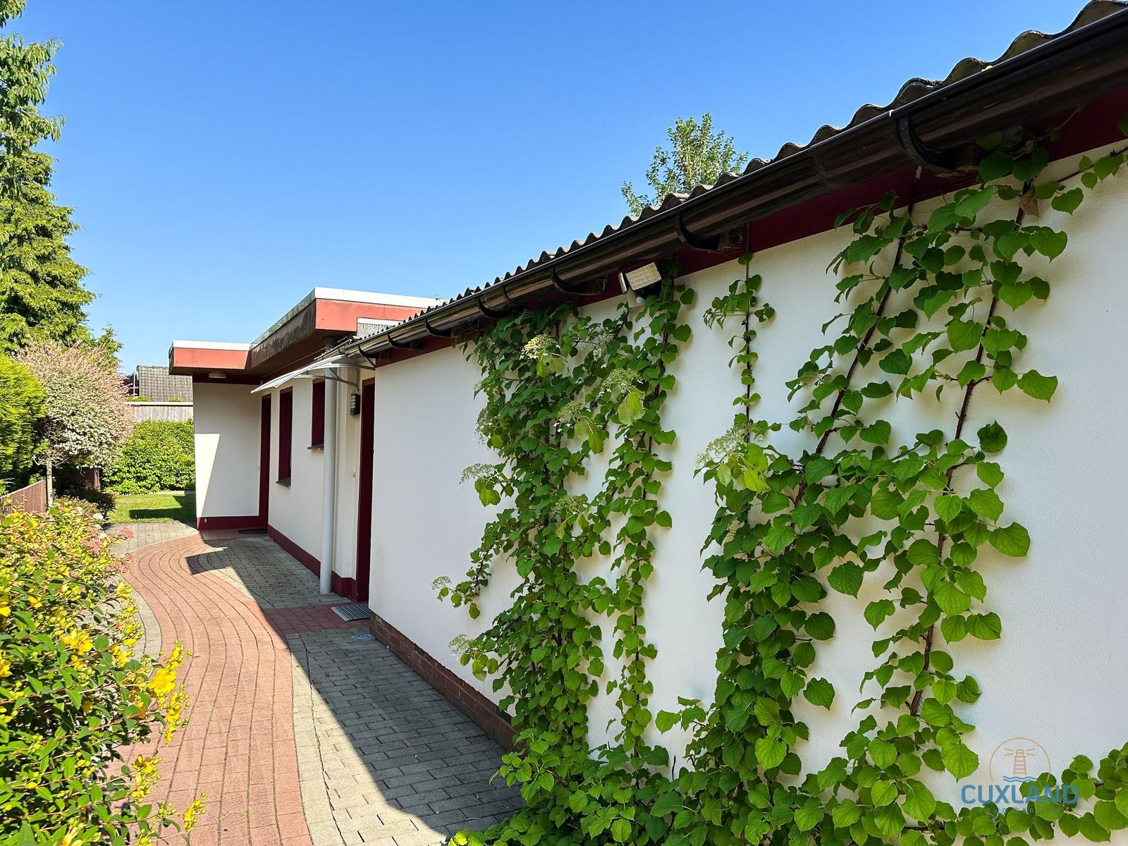 Wand mit Kletterpflanzen, gepflasterter Weg und Gartenbereich