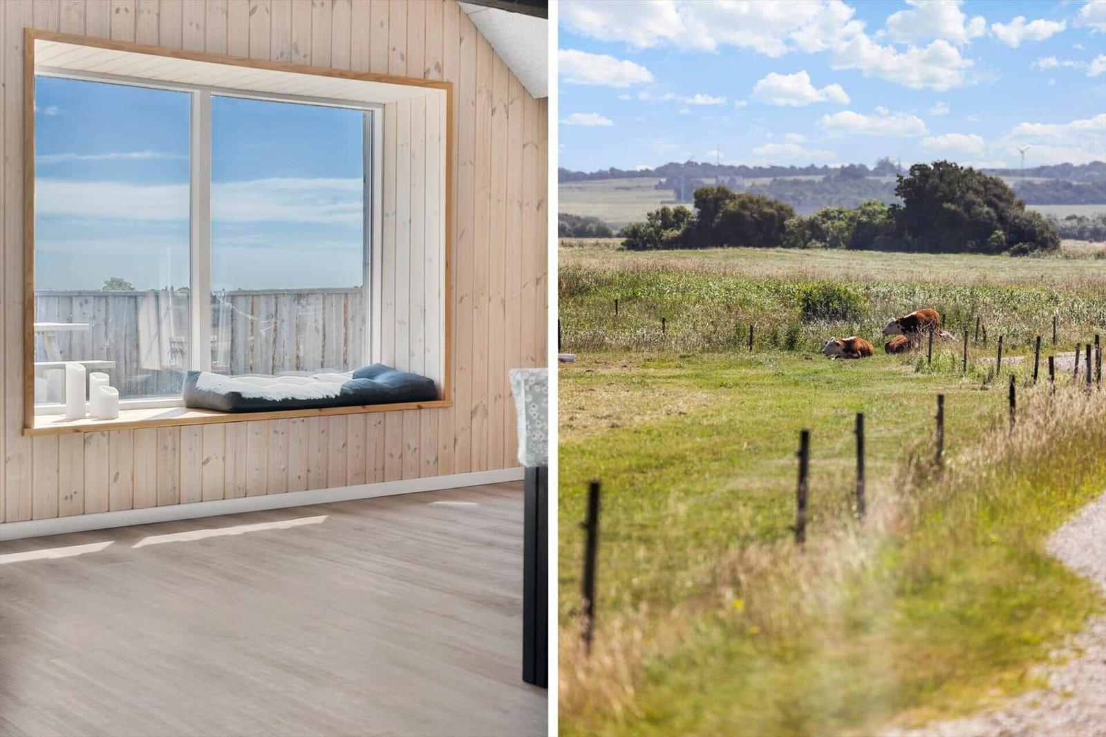 Ein Raum mit Holzwand und großem Fenster. Draußen Weide mit Rindern und blauem Himmel.