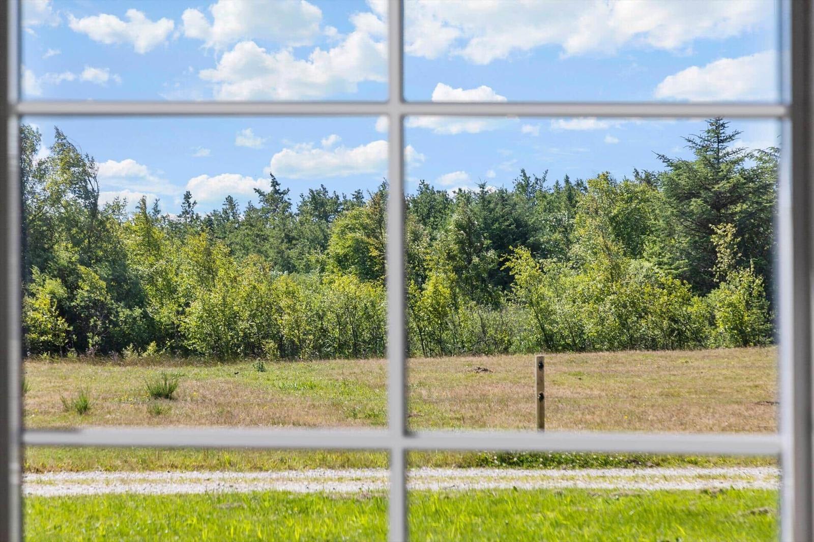 Durch das Fenster ist ein Feld mit Gras und Bäumen im Hintergrund zu sehen.