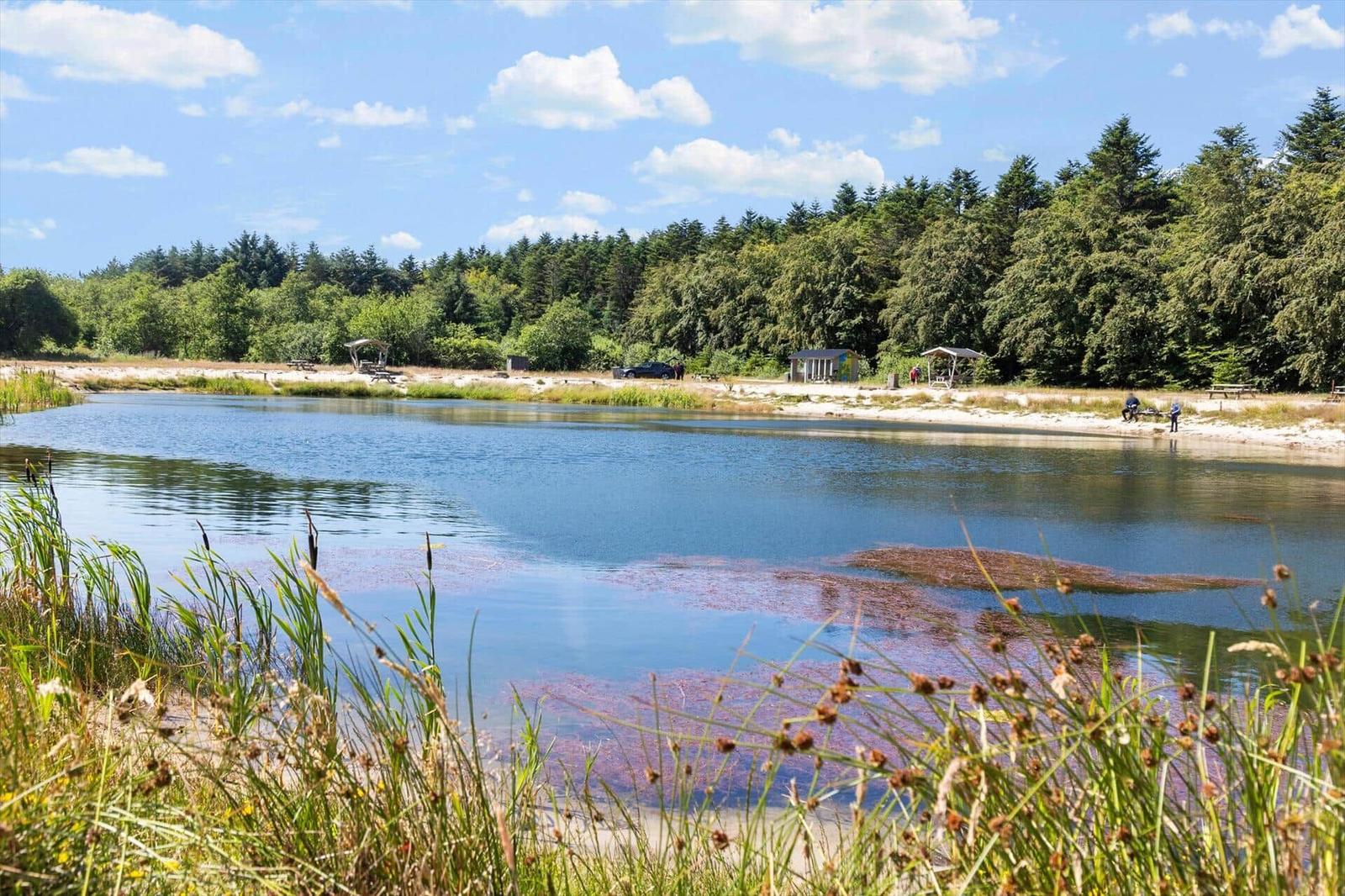 Ein See mit Uferbereich, umgeben von Wald und Bäumen unter blauem Himmel.