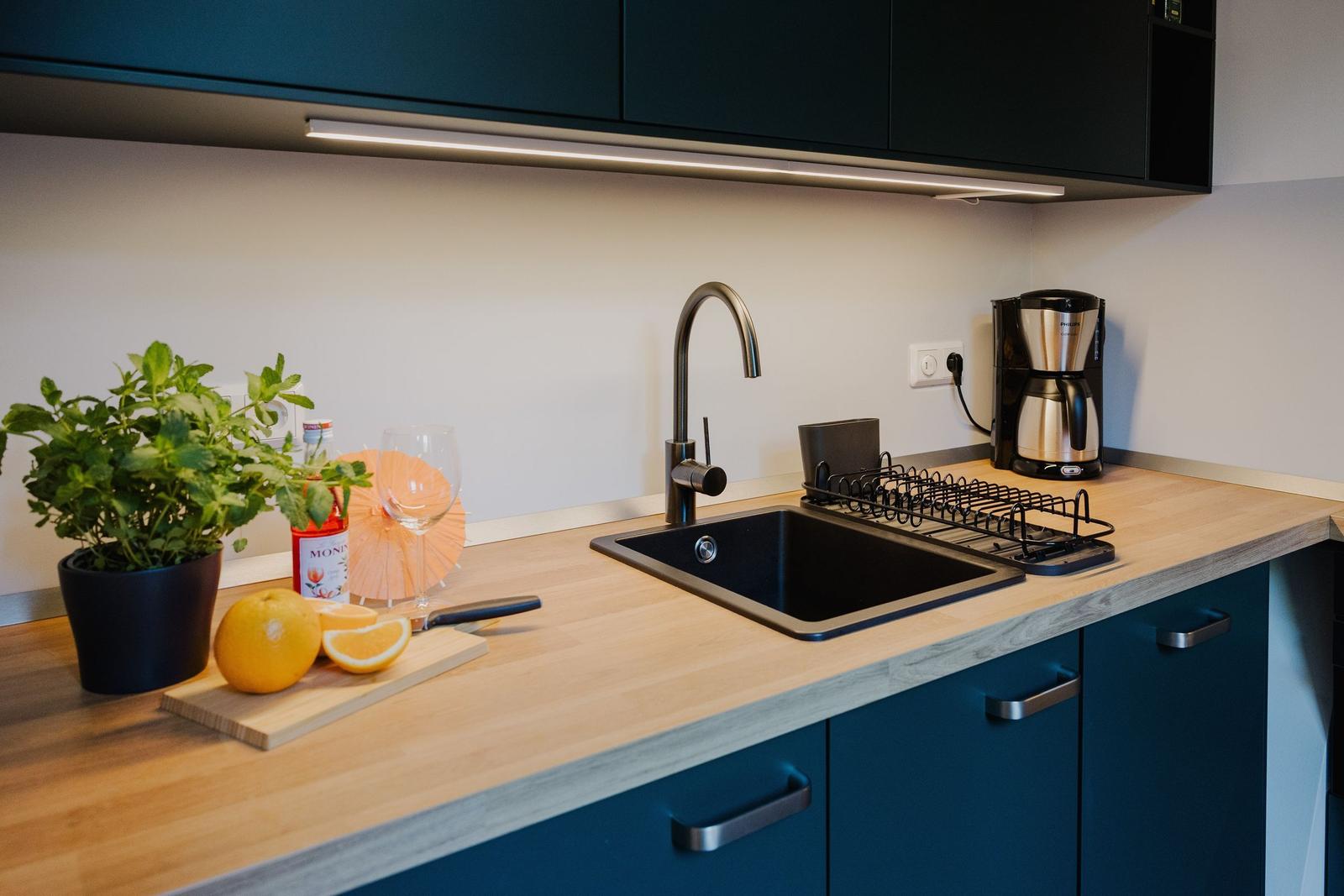 Küche mit Arbeitsfläche, Spüle, Kaffeemaschine und Pflanze.