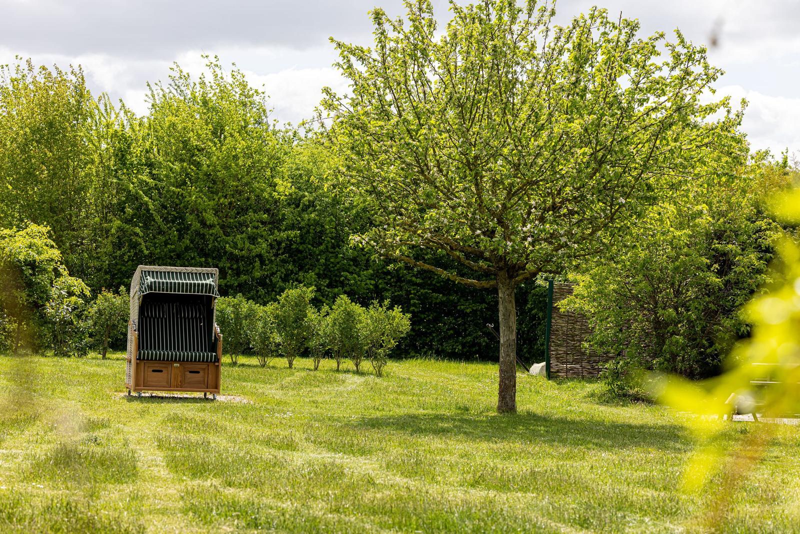 Ein grüner Garten mit einem Holzstuhl und einem Baum. Hintergrund: dichter Wald.