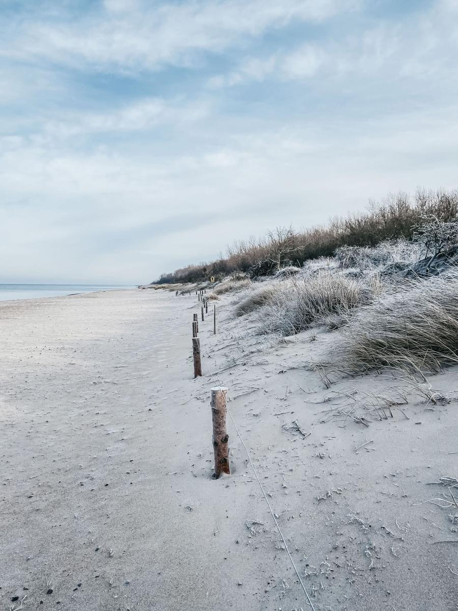 Frostbedeckter Strand mit Dünen und Holzpfosten entlang des Wassers.