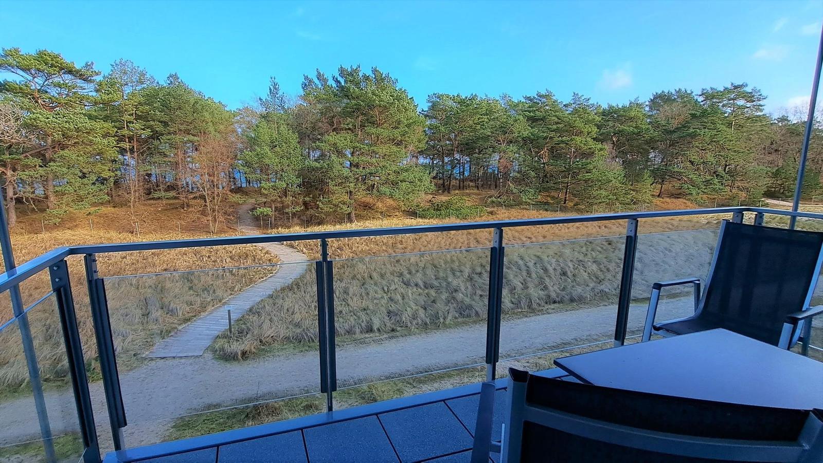 Terrasse mit Tisch und Stühlen. Blick auf Wald und Wanderweg.
