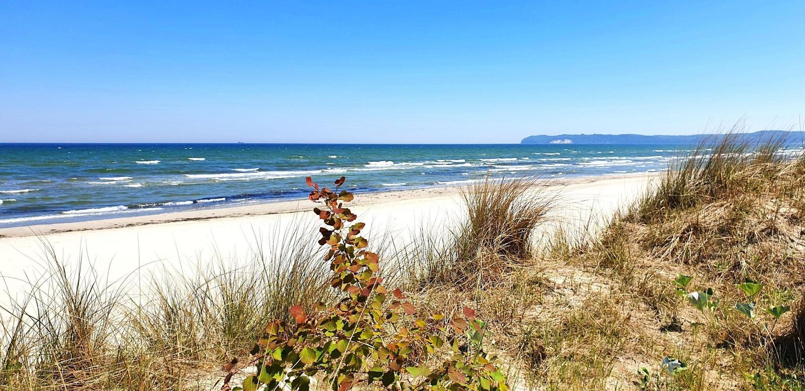 FeWo Treibgut in PRORA - 8.12-21
