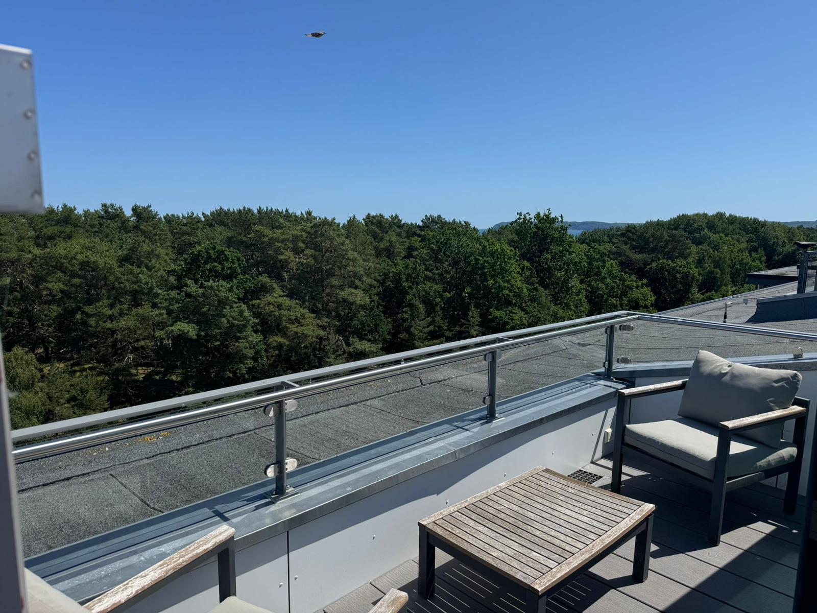 Terrasse mit Sitzgelegenheit und Blick auf Wald und See.