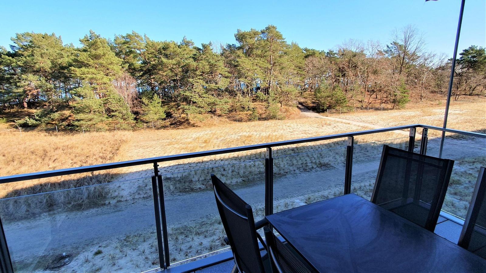Terrace with table and chairs offers view of forest and sand dunes.