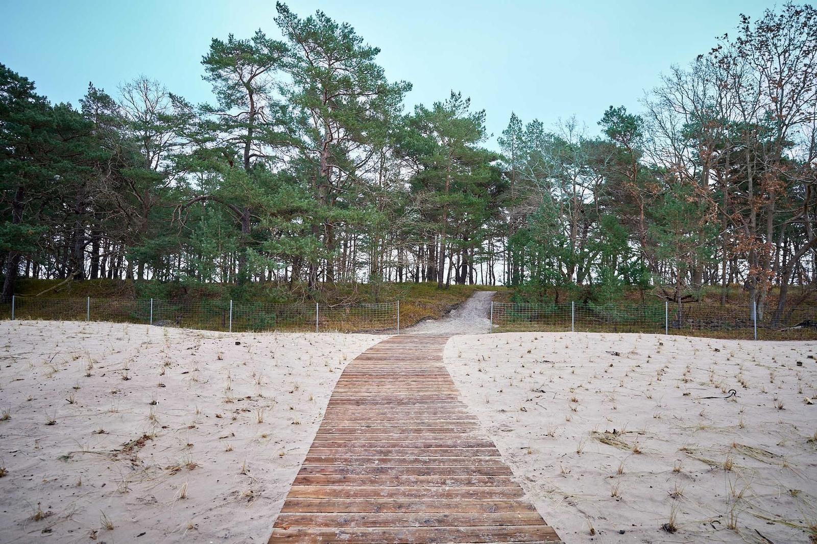 Holzweg durch Sandfläche zu Wald mit Nadelbäumen.