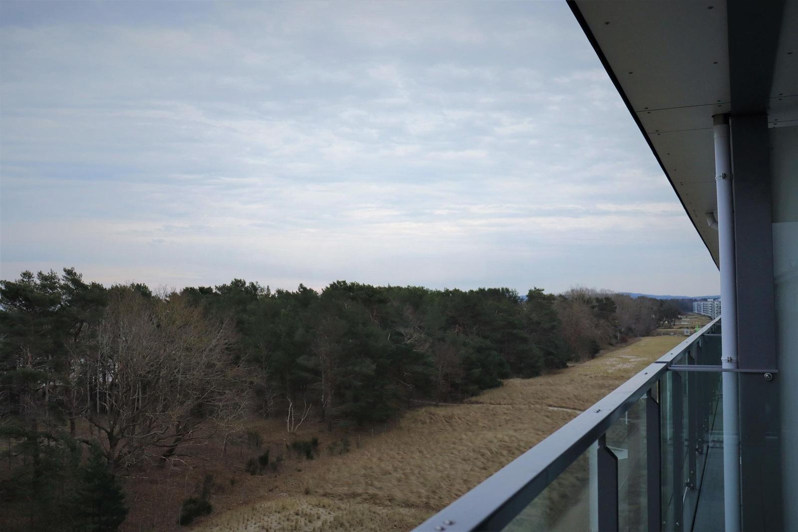 Blick vom Balkon auf Wald und Feld