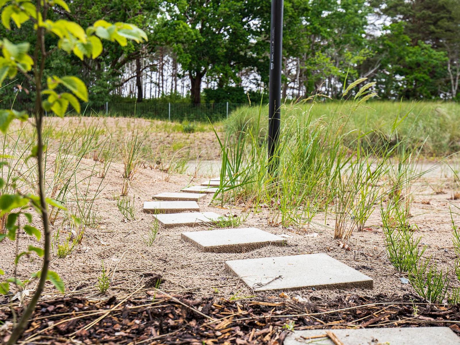 Stone path through grass and sand, surrounded by trees and grasses.