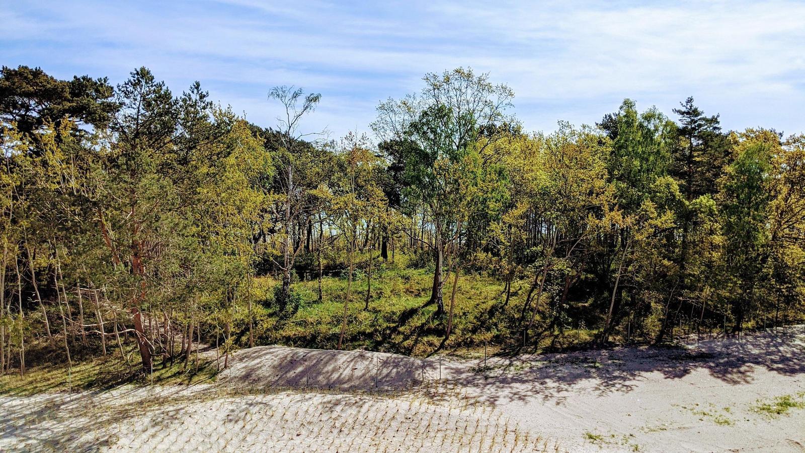Sandhügel mit Wald im Hintergrund unter blauem Himmel.