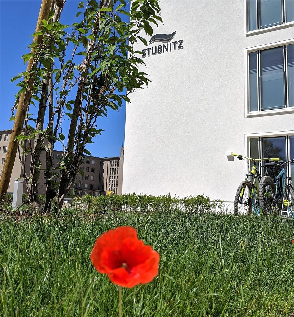 Rote Mohnblume vor weißem Gebäude mit Fahrrädern und Bäumen