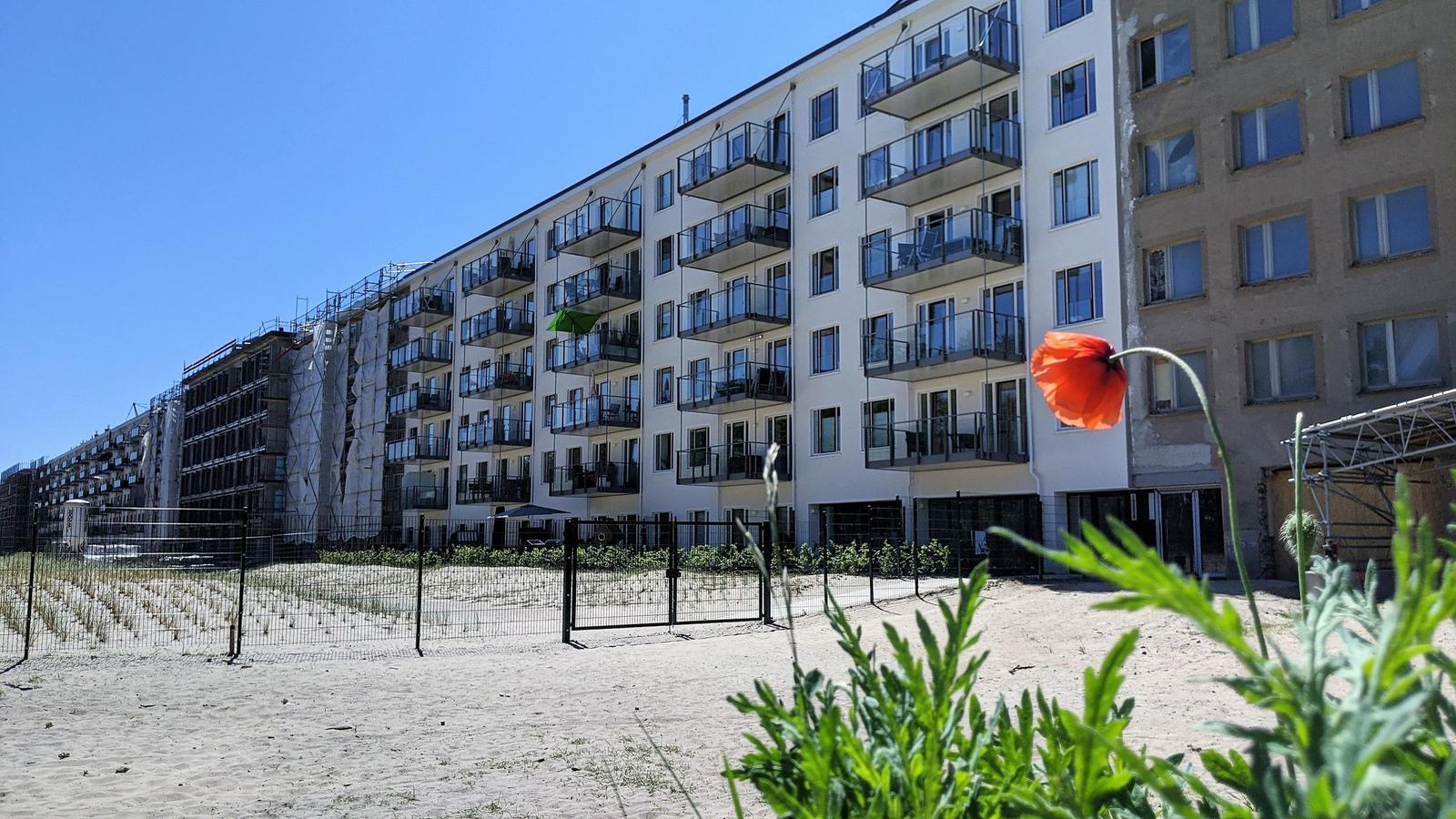 Neubauwohnung mit Balkonen und Sandfläche vorne. Eine rote Mohnblume im Vordergrund.