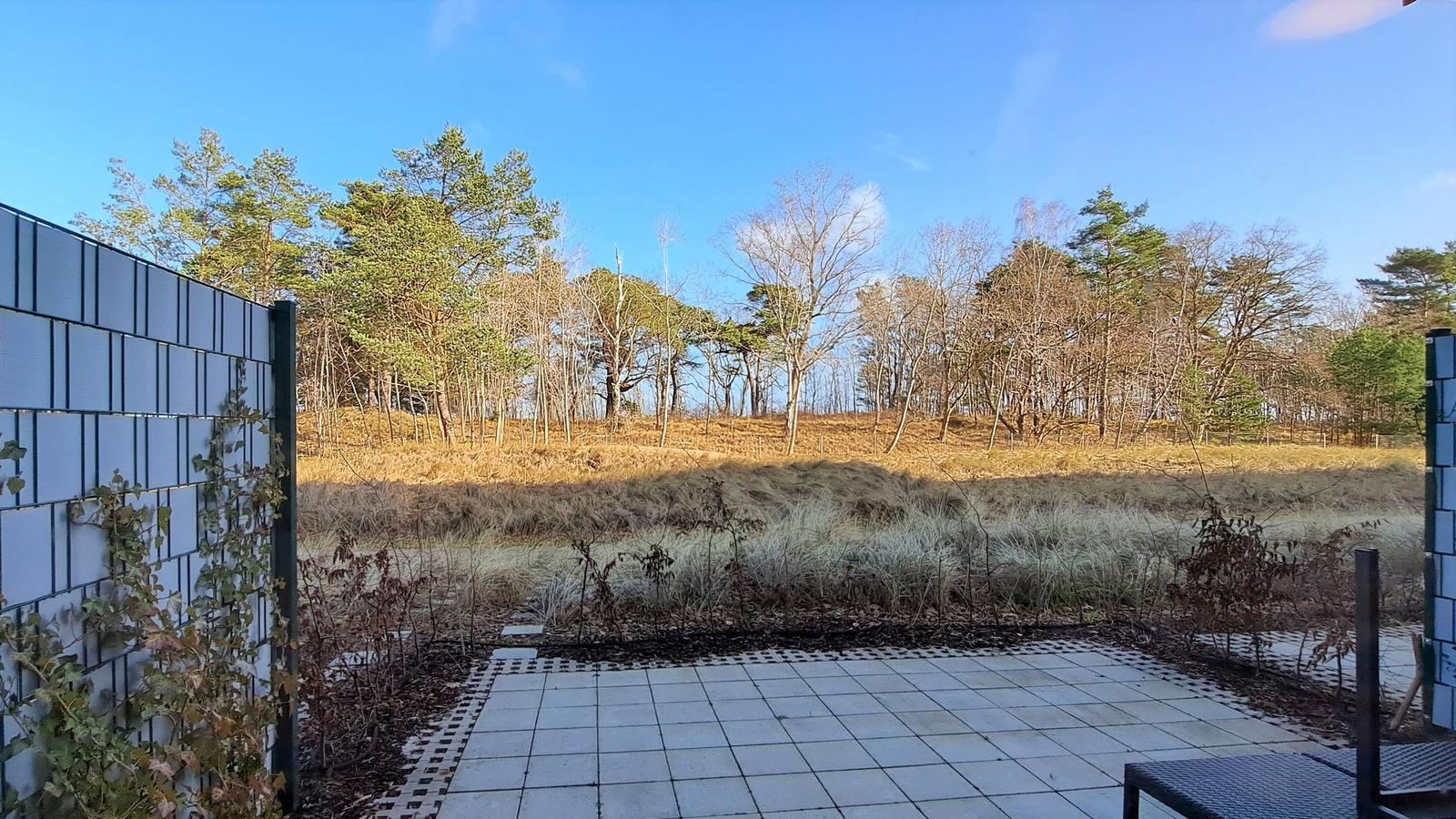 Terrasse mit Fliesen, umgeben von einem Zaun und einem Wald im Hintergrund.