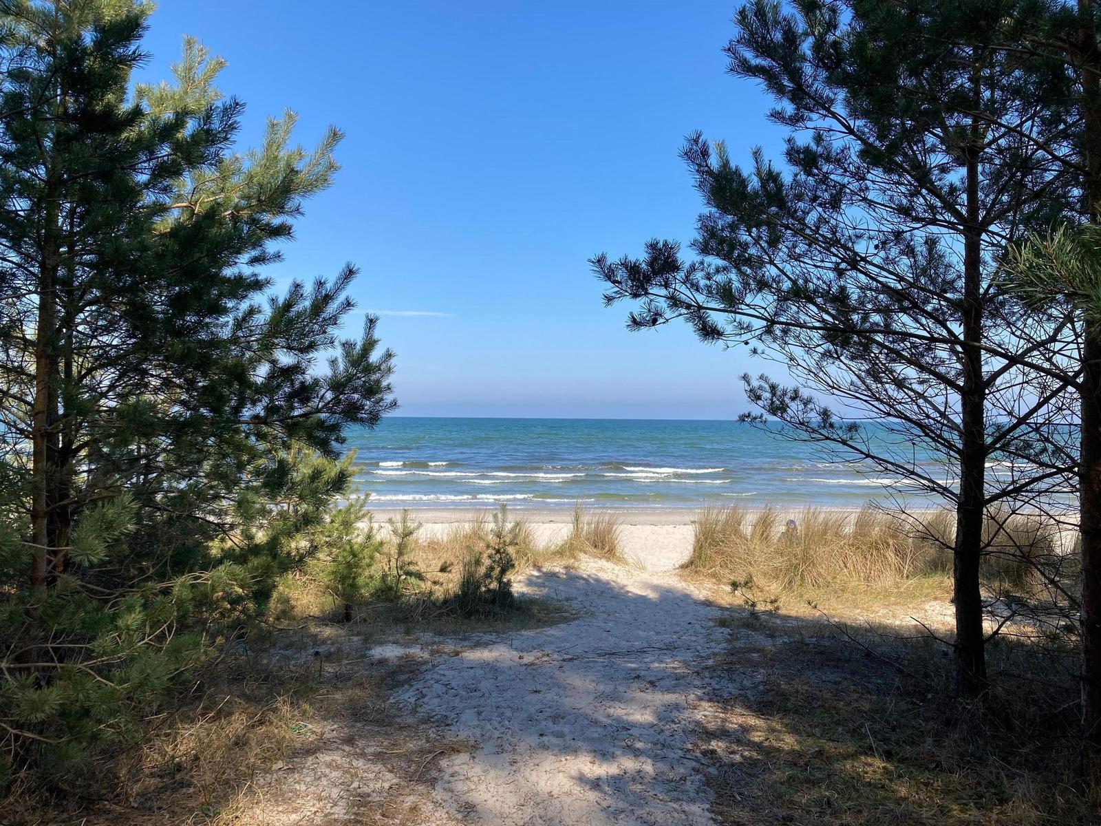 Weg durch Pinien zur Strandpromenade mit Blick auf das Meer.