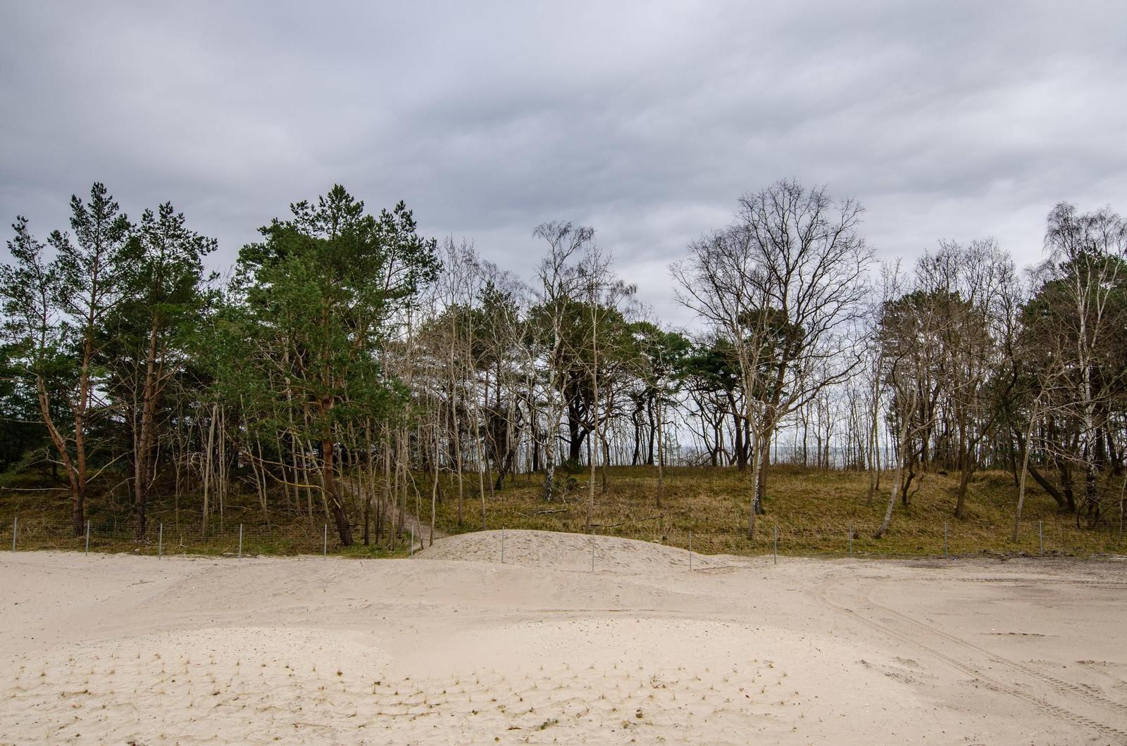 Sandfläche mit Bäumen im Hintergrund unter bewölktem Himmel
