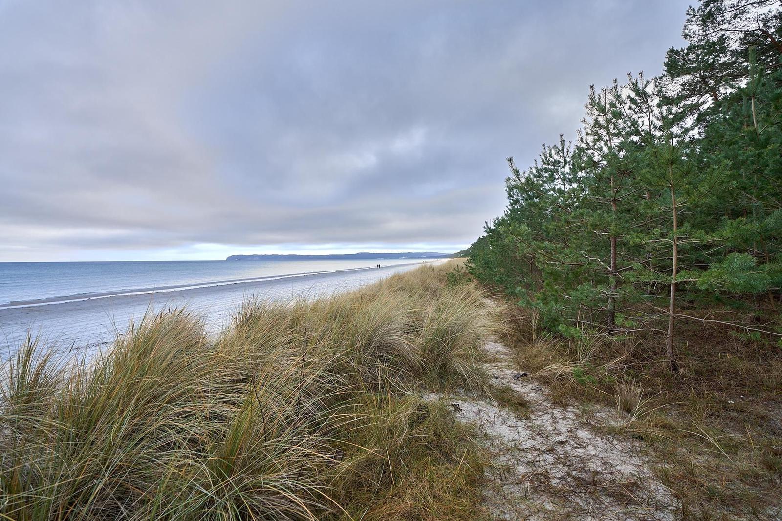Path through dunes with view of beach and sea