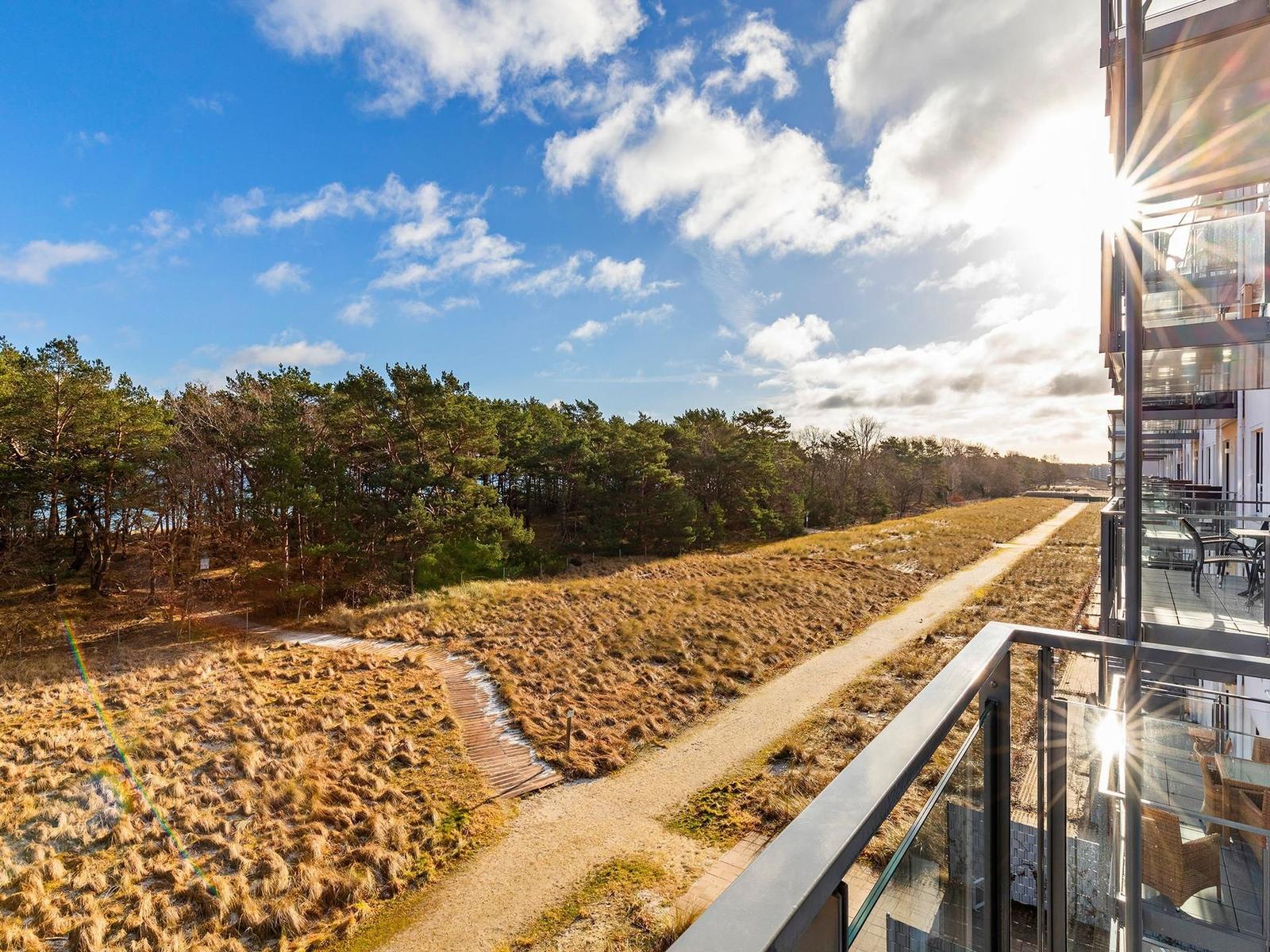 Terrasse mit Blick auf Wald und Weg unter blauem Himmel mit weißen Wolken.