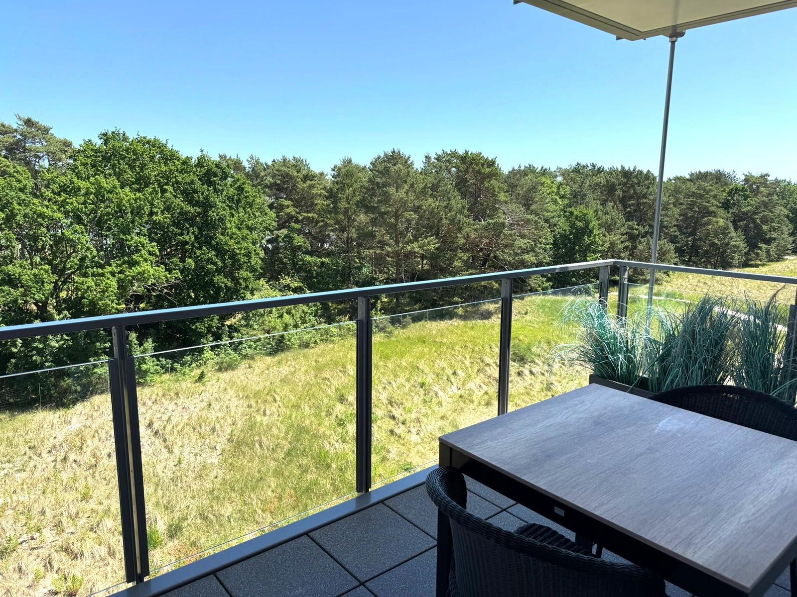 Terrasse mit Tisch und Stühlen. Blick auf Wald und Grasland unter blauem Himmel.
