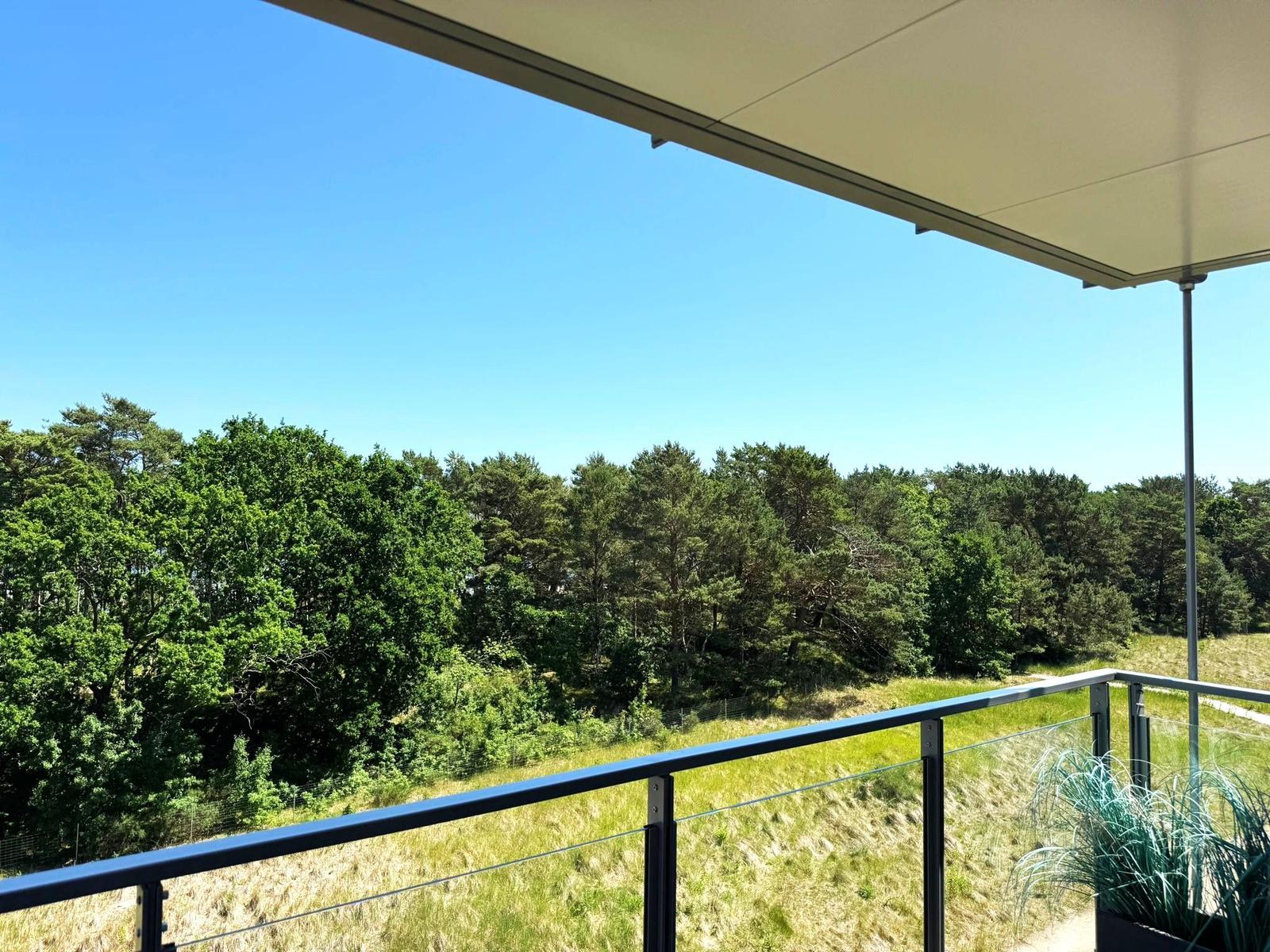 Terrasse mit Blick auf Wald und Himmel. Glasgeländer und Pflanze sind sichtbar.