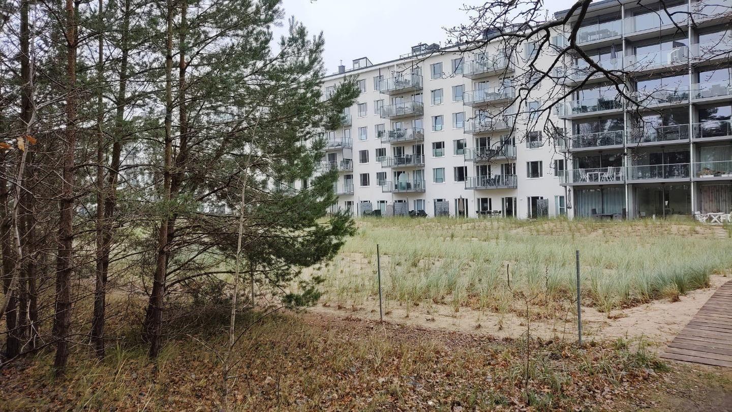 FeWo Treibholz in PRORA - 7.41-9