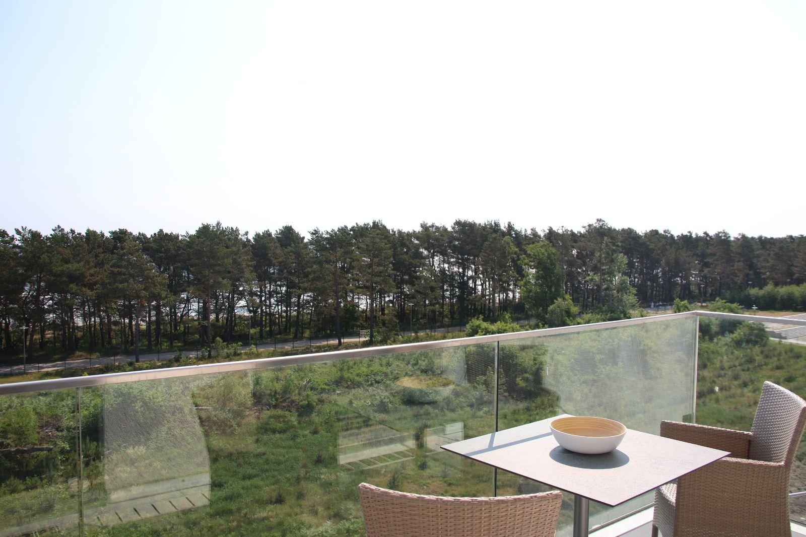 Terrasse mit Tisch und Stühlen, Blick auf Wald und Straße.