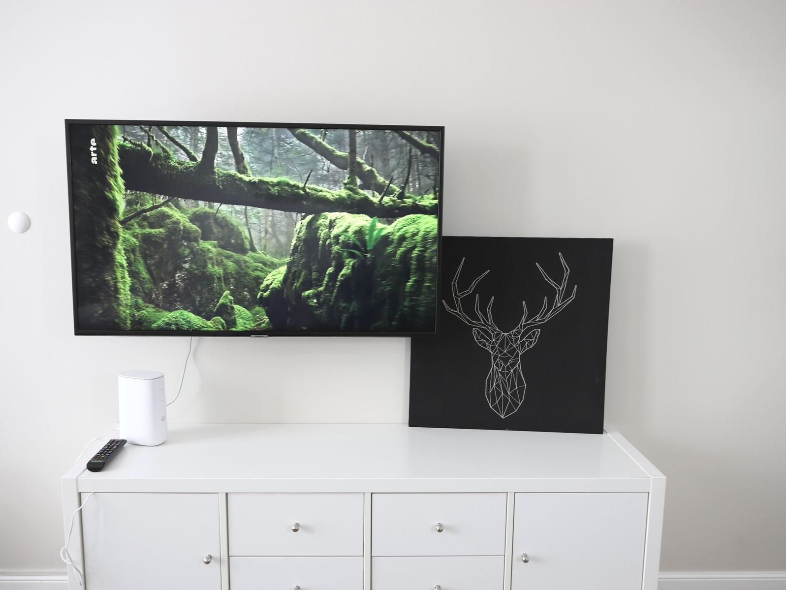 TV / Multimedia