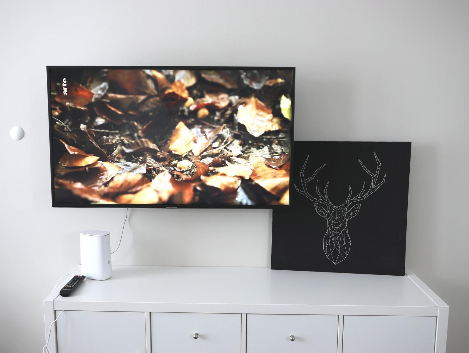 TV / Multimedia