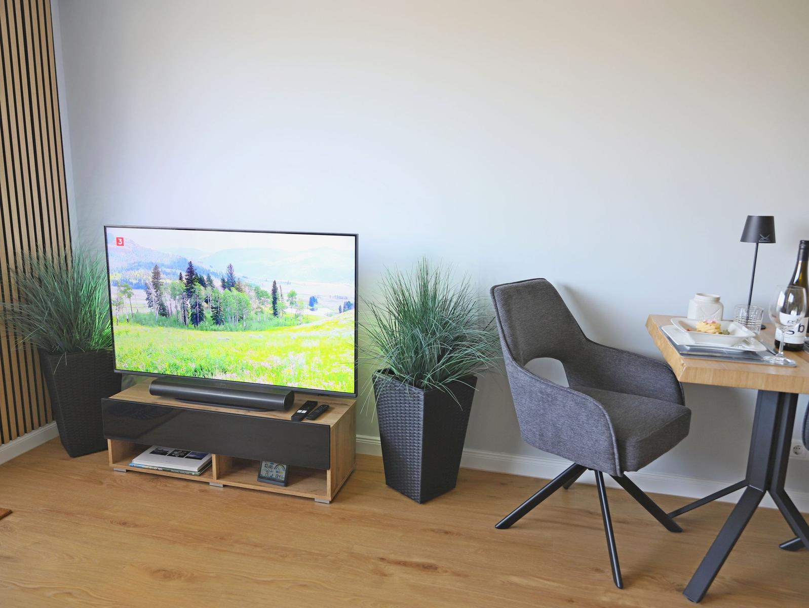 TV / Multimedia
