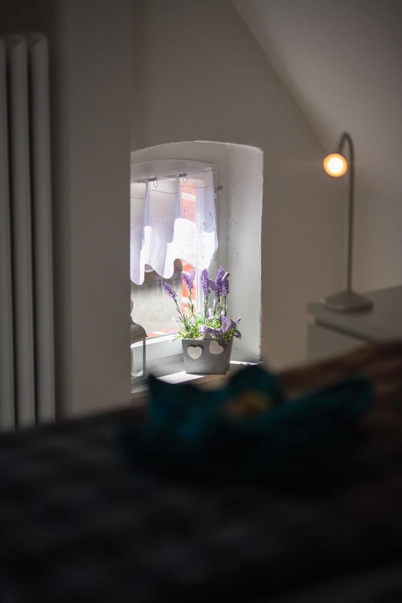 Ein Fenster mit weißen Vorhängen und einer Pflanze im Fensterbrett.