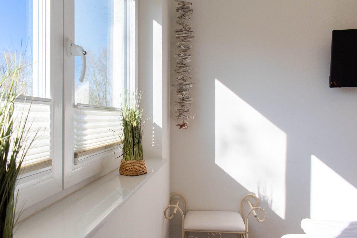 Ein Fenster mit Jalousie, Pflanze auf Sims, Stuhl und Wanddekoration.